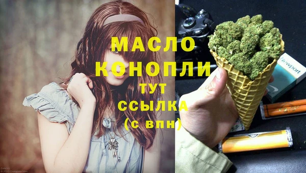 гашик Зеленокумск