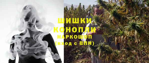 mix Богородицк