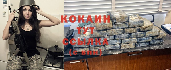 mix Богородицк